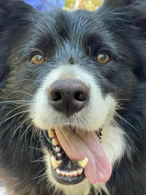 Madrugar en vacaciones… ¿merece la pena?